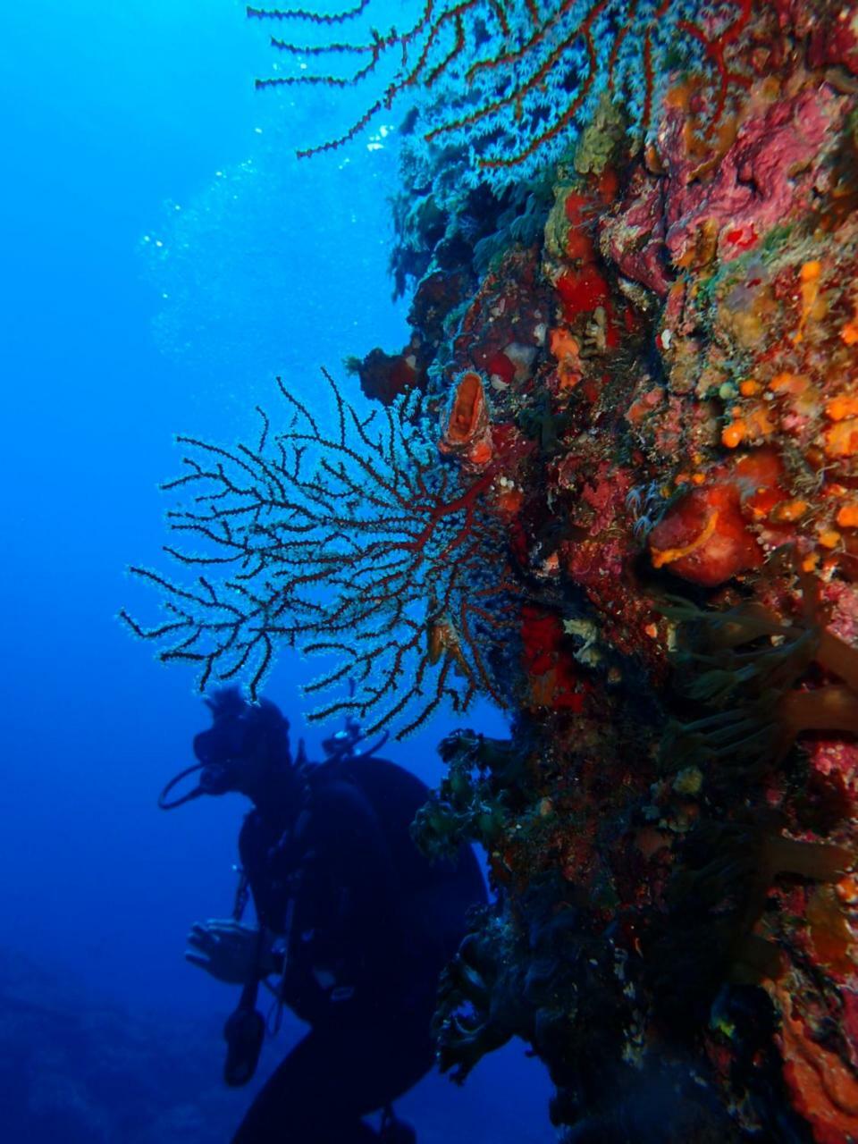 Qing Feng Diving B&B Isla Verde Exterior foto