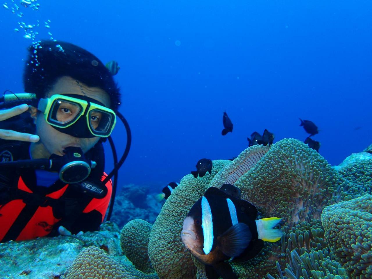 Qing Feng Diving B&B Isla Verde Exterior foto