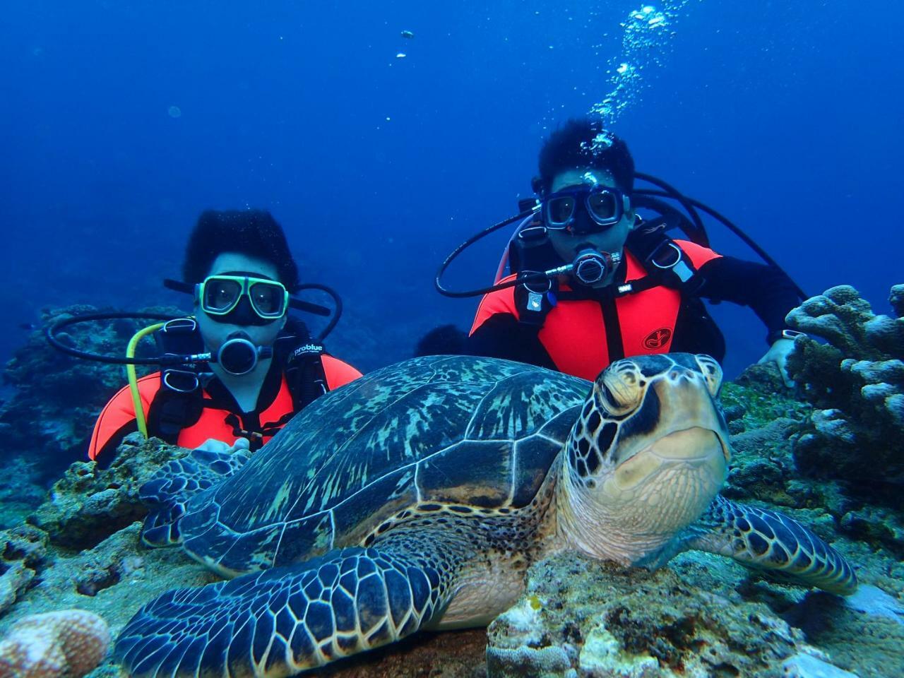 Qing Feng Diving B&B Isla Verde Exterior foto
